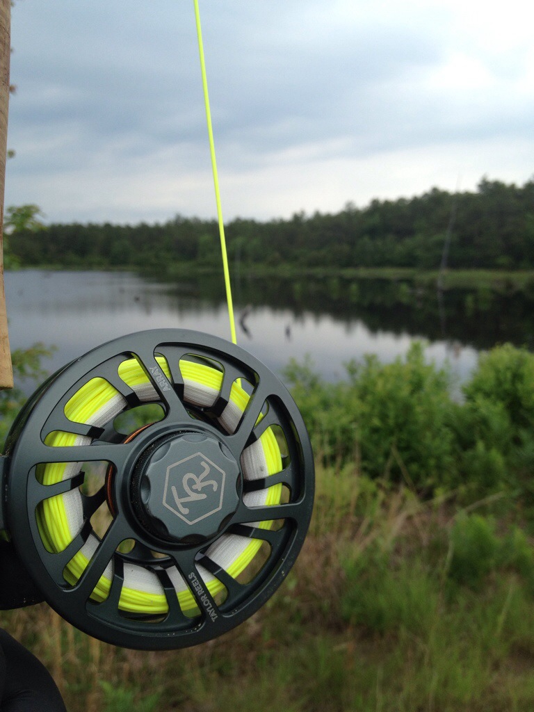 Taylor Fly Reels